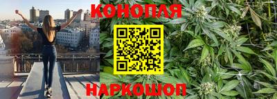 прущие крисы Долгопрудный