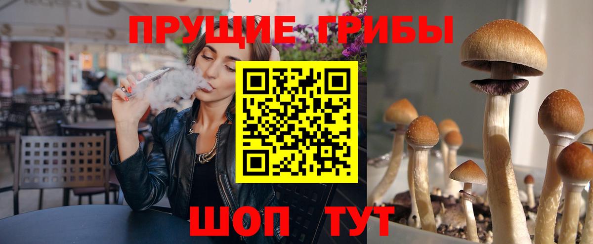 купить наркотики сайты  Галлюциногенные грибы GOLDEN TEACHER  Вход с VPN  Псилоцибиновые грибы Psilocybine cubensis  Гай 